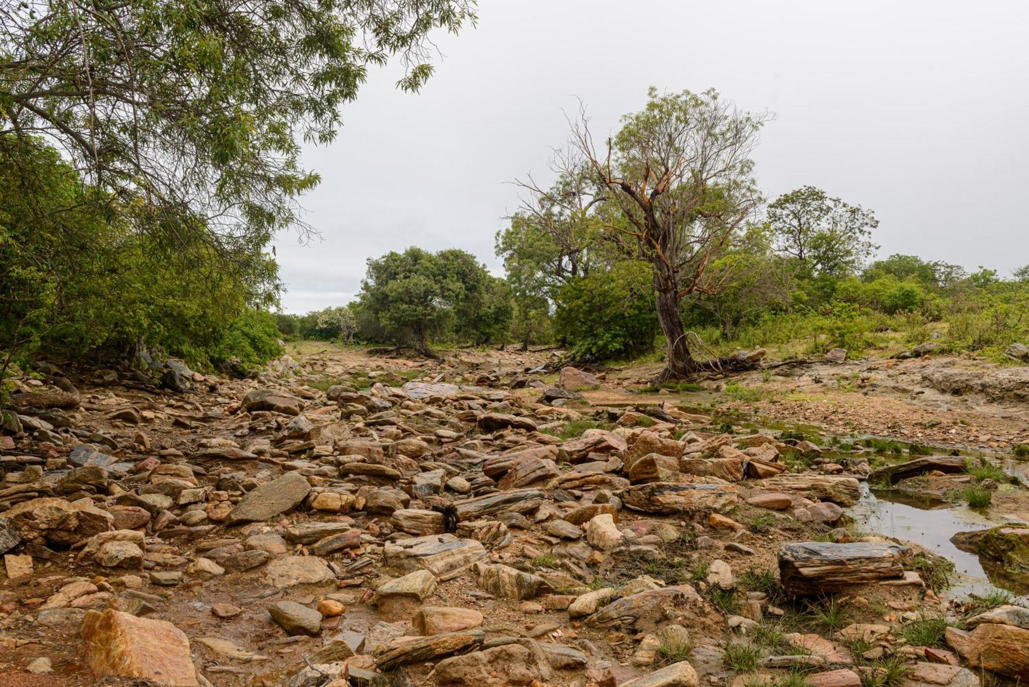 Fazenda Poco Das Pedras São João do Cariri Extérieur photo
